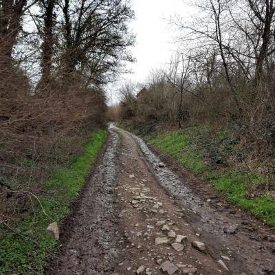 Chemin du vieux cimetière du sanatorium de Mont